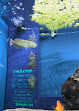 Aquariums West