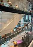 AKC Museum of the Dog