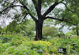 Fort Tryon Park