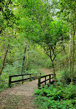 Castle Rock State Park