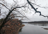 Castle Rock State Park