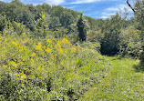 Castle Rock State Park