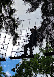 Go Ape Thetford