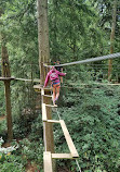 Go Ape Thetford