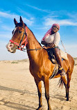 VIP Hummer Desert Safari Dubai