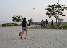 Dog Park