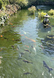 Belle Isle Aquarium