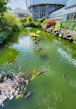 Belle Isle Aquarium