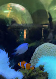 Belle Isle Aquarium