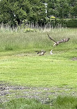 Union Lake Golf Course