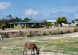 Turks and Caicos National Museum