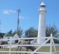 Turks and Caicos National Museum