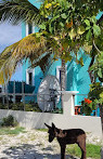 Turks and Caicos National Museum