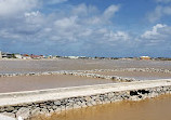 Turks and Caicos National Museum