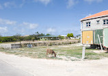 Turks and Caicos National Museum