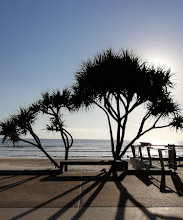 Surfers Paradise boulevard