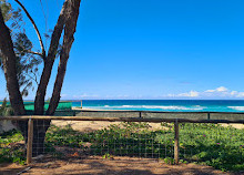 Surfers Paradise boulevard