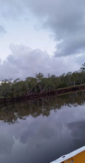 Parco ambientale dell'insenatura di Tallebudgera