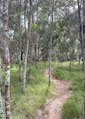 Parco ambientale dell'insenatura di Tallebudgera