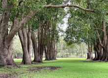 Gold Coast Regional Botanic Gardens