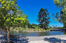 Gold Coast Regional Botanic Gardens