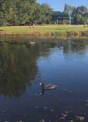 Gold Coast Regional Botanic Gardens