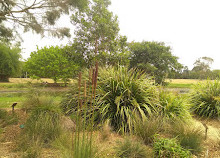 Gold Coast Regional Botanic Gardens