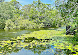 Gold Coast Regional Botanic Gardens