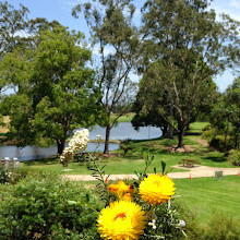 Amici dei giardini botanici regionali della Gold Coast