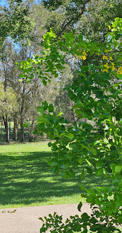 Amici dei giardini botanici regionali della Gold Coast