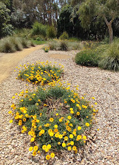 Amici dei giardini botanici regionali della Gold Coast