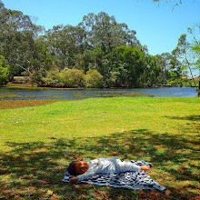 Amici dei giardini botanici regionali della Gold Coast