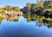 Amici dei giardini botanici regionali della Gold Coast