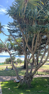 Rainbow Bay Beach