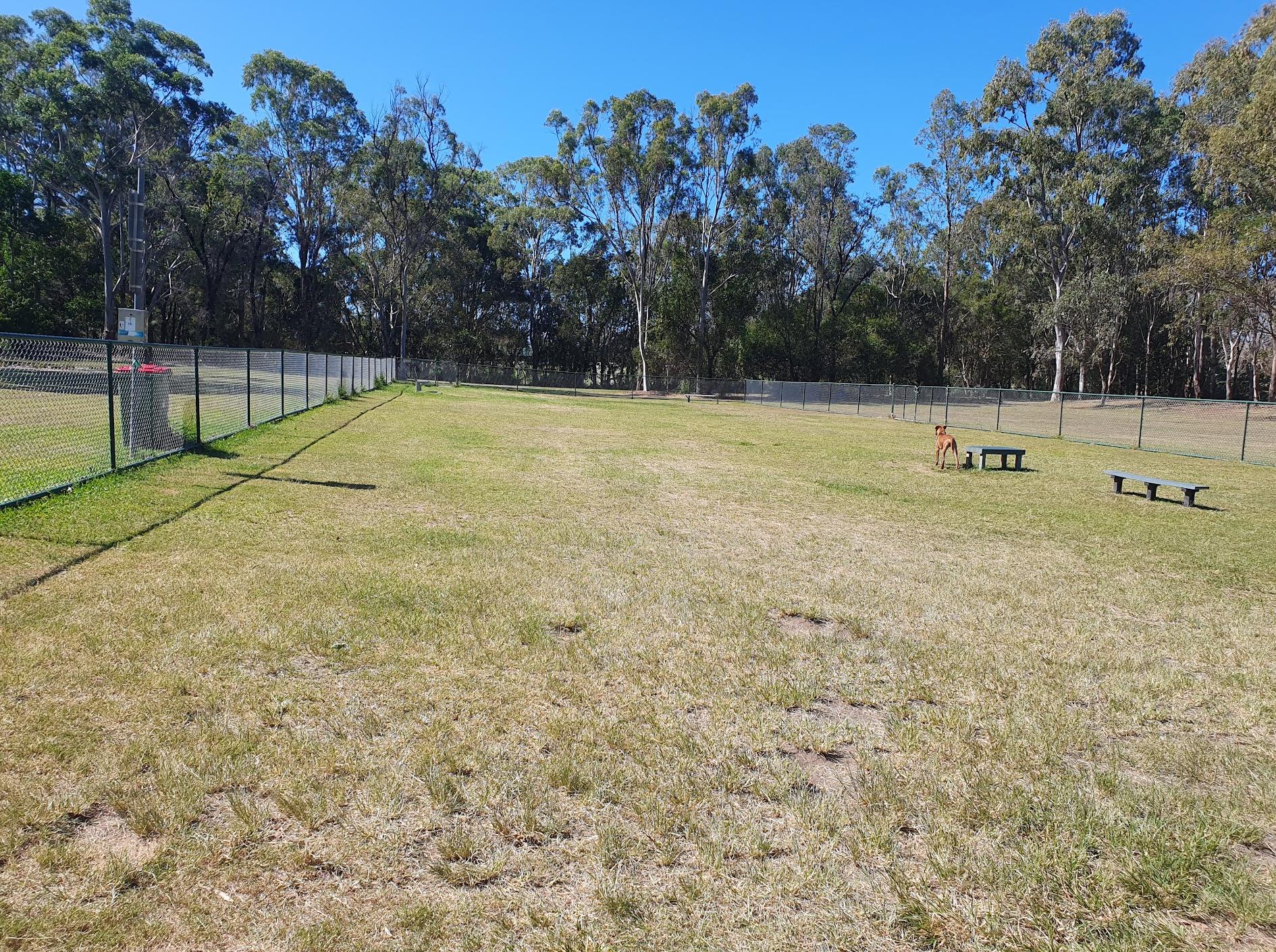 Robina Common Fenced Agility Dog Park