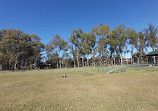 Robina Common Fenced Agility Dog Park