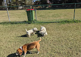 Robina Common Fenced Agility Dog Park