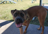 Robina Common Fenced Agility Dog Park