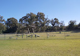 Robina Common Fenced Agility Dog Park