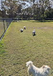 Robina Common Fenced Agility Dog Park