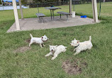 Robina Common Fenced Agility Dog Park