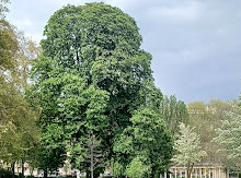 Parc Monceau