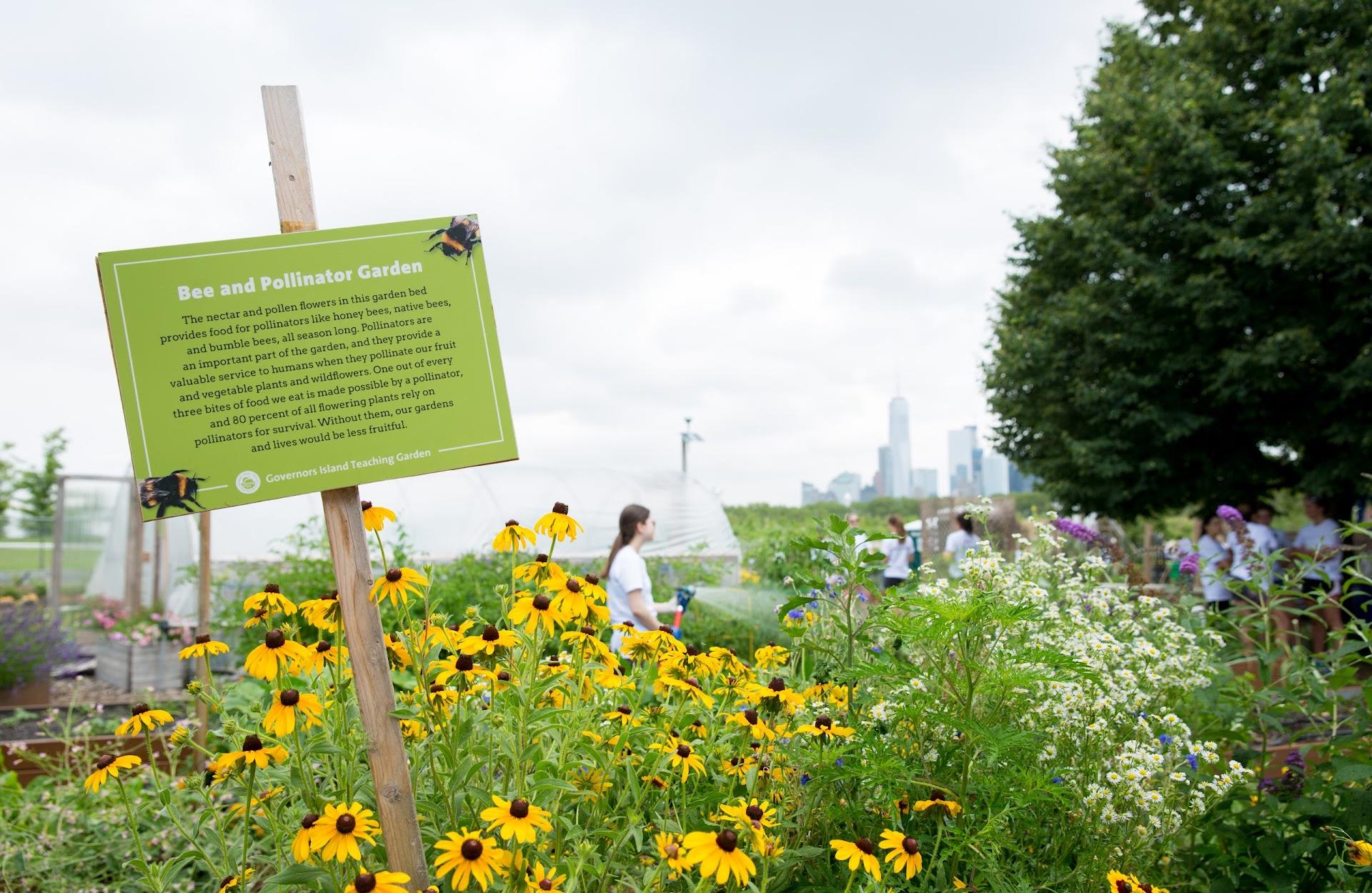 Jardín de enseñanza de Governors Island