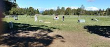 Robina Parkway Fenced Agility Dog Park