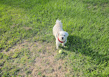 Robina Parkway Fenced Agility Dog Park