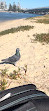 Le parc de la plage Old Sea Wall