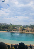 Sea World