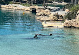 Sea World