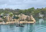 Sea World