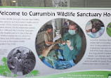 Currumbin Wildlife Hospital